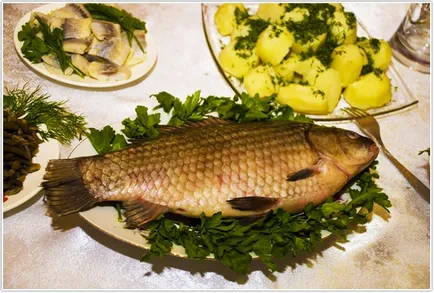 O selecție de toasturi originale, glume, parabole, felicitări cu diferite ocazii si gusturi -