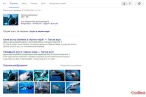 Căutare după imagine, imagini, fotografii în Yandex și Google