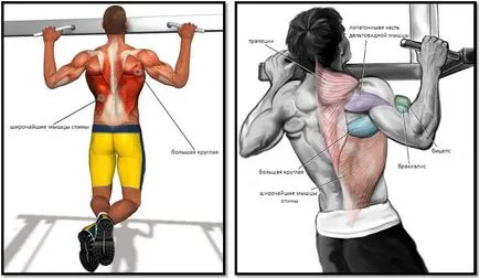 Pull-up-uri de pe bara