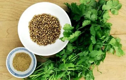 Proprietăți utile de coriandru, contraindicații și proprietăți terapeutice, (dieta) Proprietăți utile de coriandru, contraindicații și proprietăți terapeutice,