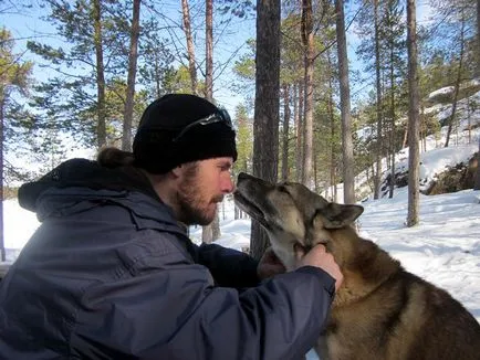 Numele potrivite pentru huskies