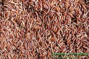 Utilizarea de orez roșu și caloric rău (calorii) Utilizarea de orez roșu și calorii rău