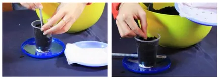 Plantarea semințelor de răsaduri de roșii - cele mai bune moduri de a stăpâni clase (semințe) plantarea semințelor de răsaduri de roșii - cele mai bune moduri de a stăpâni clase