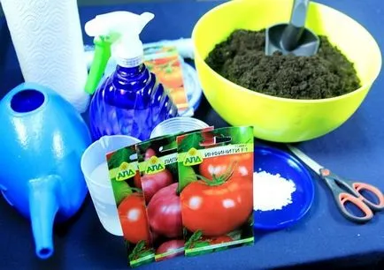 Plantarea semințelor de răsaduri de roșii - cele mai bune moduri de a stăpâni clase (tomate) plantarea semințelor de răsaduri de roșii - cele mai bune moduri de a stăpâni clase