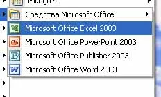 Microsoft Office Excel, drumul spre afaceri la calculator