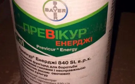 Instrucțiuni de energie Previkur pentru utilizarea medicamentului