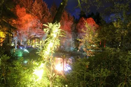 lumina de vacanță în cazul în care pentru a merge la festivalul luminilor