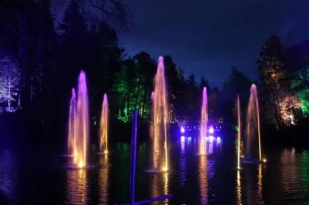 lumina de vacanță în cazul în care pentru a merge la festivalul luminilor