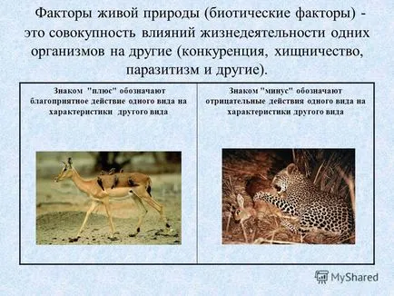 Prezentarea pe habitat (mediu) este tot ceea ce înconjoară organismul viu