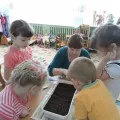 proiect de design peisaj de un pat de flori în grădiniță „floare luncă“ (școală) proiect de design peisaj de un pat de flori în grădiniță „pajiște de flori“