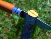 Vaccinarea de caise, care este posibil și cum să insufle, grefarea unei prune, prune, cireșe timp de primăvară (poate) Vaccinarea de caise, care este posibil și cum să insufle, grefarea unei prune, prune, cireșe date de primăvară