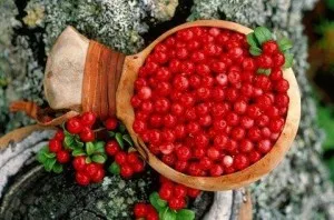 hormoni naturali - vechi lent! Blog despre sănătate și longevitate