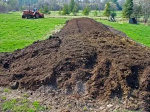 Utilizarea de bălegar de vacă, cum să gătească lumanarica