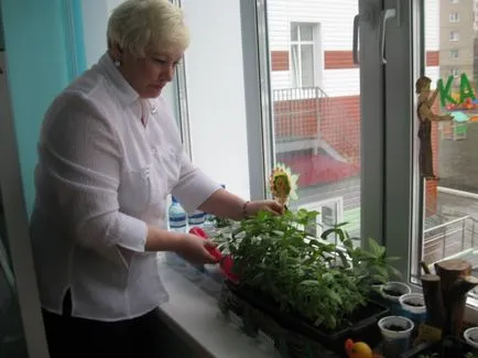proiect de design peisaj de un pat de flori în grădiniță „luncă flori“ (pentru părinți) proiect de design peisaj de un pat de flori în grădiniță „pajiște de flori“