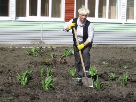 proiect de design peisaj de un pat de flori în grădiniță „pajiște de flori“ (dezvoltarea copilului) proiect de design peisaj de un pat de flori în grădiniță „pajiște de flori“