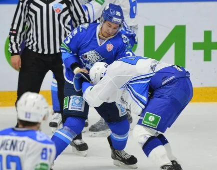 Ocupatia tipi duri - hockeyscience - bloguri