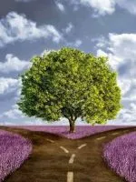 psihologia umana - modul de a gestiona oameni (persoană) psihologia umana - modul de a gestiona oamenii