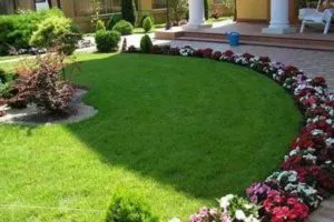 Rabatki desene propriile mâini, fotografii, selecție de plante pentru sfaturi de creare și întreținere (flori pentru frontiere și cadre) Rabatki desene propriile mâini, fotografii, selecție de plante, consiliere cu privire la crearea și întreținerea