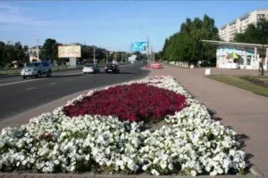 Rabatki desene propriile mâini, fotografii, selecție de plante, consiliere cu privire la crearea și întreținerea (coamele cu mâinile lor foto) Rabatki desene propriile mâini, fotografii, selecție de plante, consiliere cu privire la crearea și întreținerea