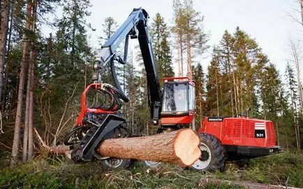 lemn crosscut, bice, paduri
