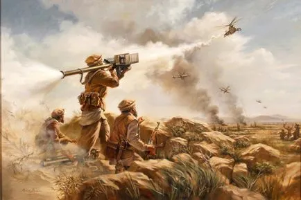 MANPADS FIM-92 Stinger, caracteristicile tehnice ale armelor, un tabel cu TTX