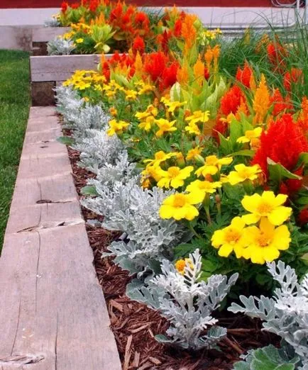 Crestele în țară Foto