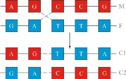 structura recombinantă