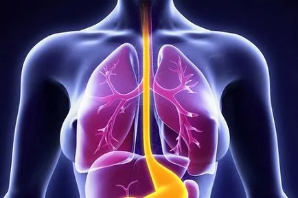 Esofagita de reflux, simptomele si tratamentul de remedii populare