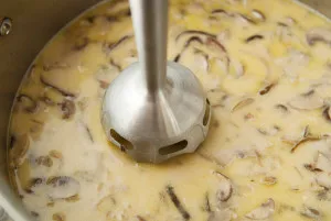 Retete piure într-un blender