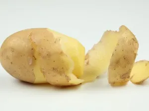 Rețetă tocană de iepure cu cartofi (calita) Rețetă pentru tocană de iepure cu cartofi