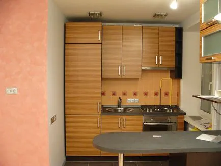 Reparatii pentru un design mic bucătărie- (44 poze) instrucțiuni privind înregistrarea video de propriile lor mâini, prețul (repararea) Reparatii pentru un design mic bucătărie- (44 poze) instrucțiuni privind înregistrarea video de propriile lor mâini, prețul,