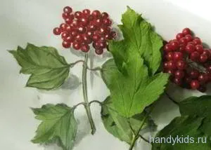 Desen - fructe de padure Viburnum
