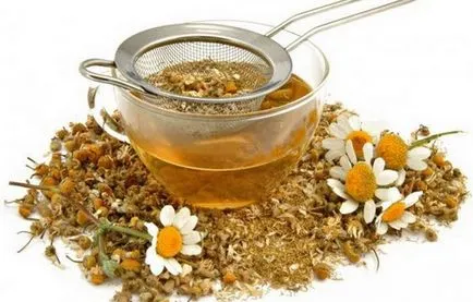 Mușețel - proprietăți de vindecare și contraindicații, cum să folosească un decoct din romaniță