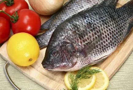 Tilapia pește - beneficiu și rău, care se găsește modul de a alege