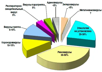 infecția cu rinovirus