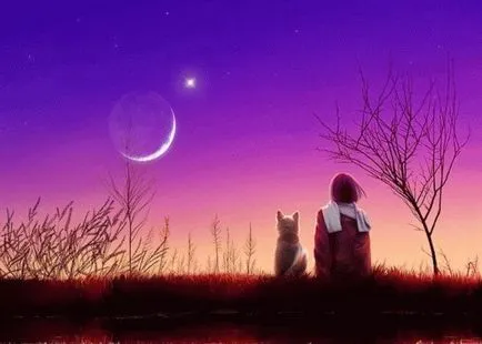 Ritualuri la luna nouă - bogăția, dragostea și împlinirea dorințelor (dorințe) Ritualuri la luna nouă - bogăția, dragostea și împlinirea dorințelor
