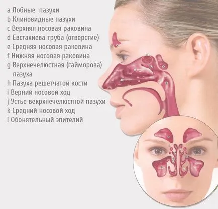 infecția cu rinovirus