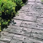 Cărări de grădină de la un copac 100 fotografii frumoase (track) Cărări de grădină din lemn pentru 100 de fotografii frumoase