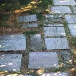 Cărări de grădină de la un copac 100 fotografii frumoase (track) Cărări de grădină din lemn pentru 100 de fotografii frumoase