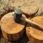 Cărări de grădină de la un copac 100 fotografii frumoase (track) Cărări de grădină din lemn pentru 100 de fotografii frumoase