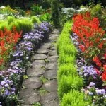 Cărări de grădină de la un copac 100 fotografii frumoase (track) Cărări de grădină din lemn pentru 100 de fotografii frumoase