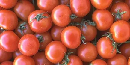 salata de tomate pentru iarnă în curs de pregătire pentru băncile de conservare, retete gustoase cu fotografii blancuri (o salată de roșii) salata de tomate pentru iarnă în curs de pregătire pentru băncile de conservare, retete pentru preparate gustoase cu fotografii