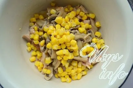 Salata cu pui si ciuperci reteta de conserve cu fotografie (de pui) Salata cu reteta de pui și ciuperci conservate cu o fotografie