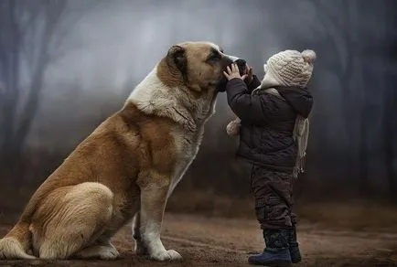 Cele mai multe rase de câine mare, cu imagini și numele (mari) Cel mai mare câine rase cu imagini și nume