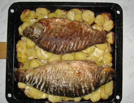 Carp, coapte în cuptor pentru cele mai bune rețete de pește suculent și gustos în folie (gătit) Carp, coapte în cuptor pentru cele mai bune rețete de pește suculent și gustoase în folie