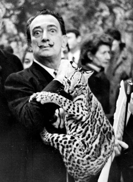 Salvador Dali și Ocelot