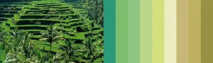 Din ceea ce sa poarte verde 20 de combinații de idei cu un verde! (Color) Din ceea ce sa poarte verde 20 de combinații de idei cu un verde!