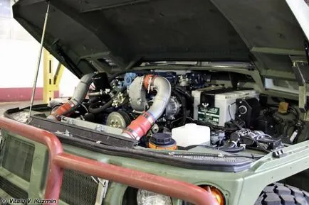 Am făcut la fel ca Tigrii - o sursă de bună dispoziție (compania) Am făcut la fel ca Tigrii - o sursă de bună dispoziție