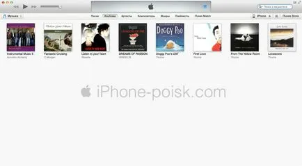 Cum de a curăța iPhone din aplicațiile de praf și nedorite (iPhone) Cum de a curăța iPhone din aplicațiile de praf și nedorite