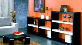 Mobilier modular pentru fotografii camera de zi și idei de design (Mobilier camera de zi) Mobilier modular pentru fotografii camera de zi și idei de design